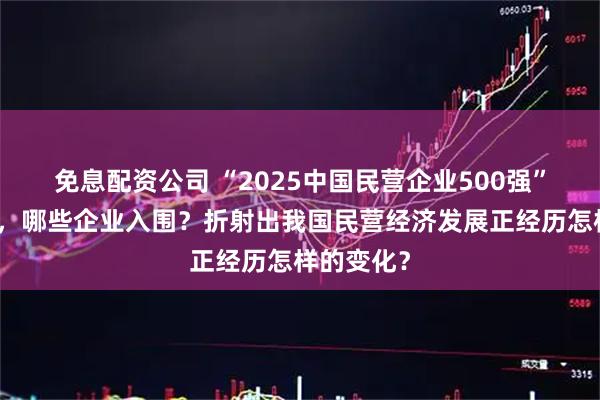 免息配资公司 “2025中国民营企业500强”榜单发布，哪些企业入围？折射出我国民营经济发展正经历怎样的变化？