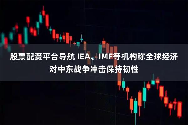 股票配资平台导航 IEA、IMF等机构称全球经济对中东战争冲击保持韧性