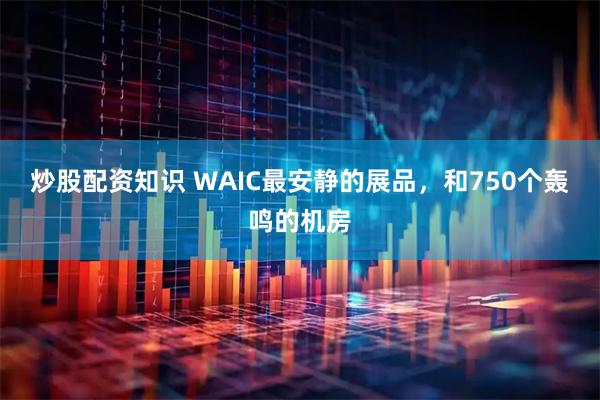 炒股配资知识 WAIC最安静的展品，和750个轰鸣的机房